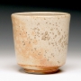 Cup6566