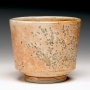 Cup6567